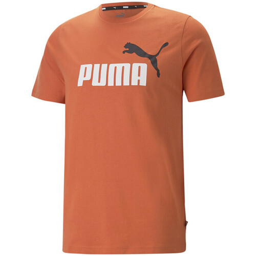 Textiel Heren T-shirts korte mouwen Puma  Orange