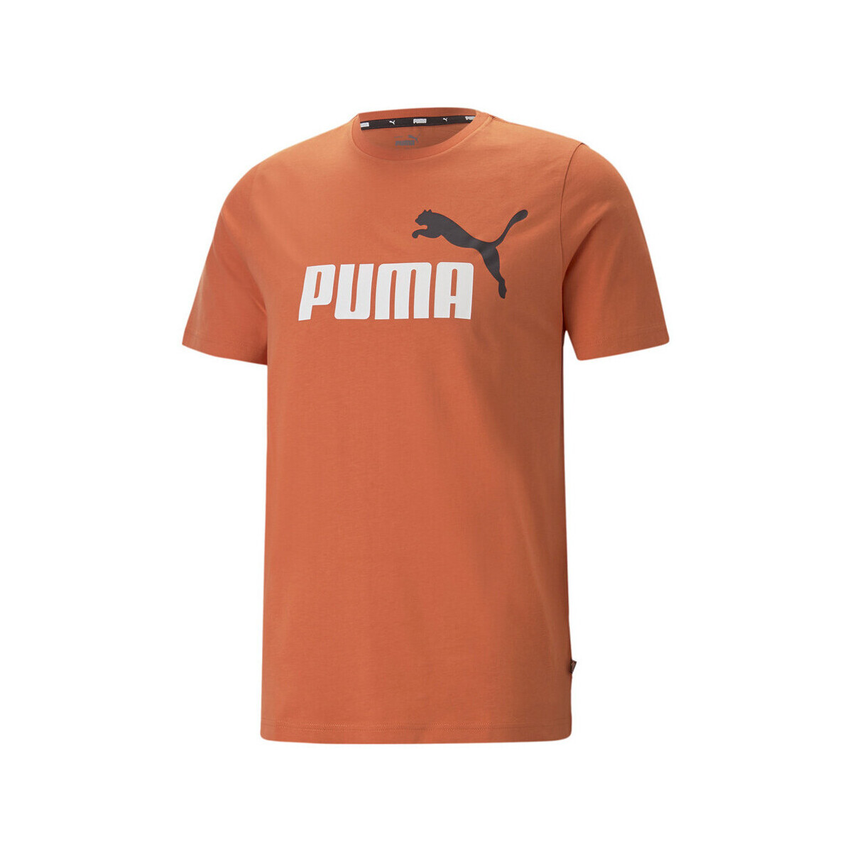 Textiel Heren T-shirts & Polo’s Puma  Orange