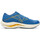 Schoenen Heren Running / trail Mizuno  Blauw