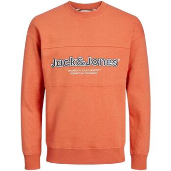 Textiel Jongens Sweaters / Sweatshirts Jack & Jones  Orange
