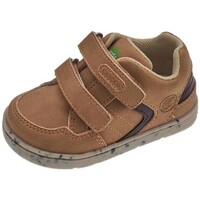 Schoenen Laarzen Chicco 27870-18 Brown