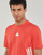 Textiel Heren T-shirts korte mouwen Adidas Sportswear M FI 3S REG T Orange / Wit