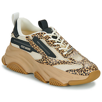Schoenen Dames Lage sneakers Steve Madden POSSESSION-E Zwart / Leopard