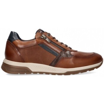 Schoenen Heren Sneakers Fluchos 70990 Brown