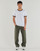 Textiel Heren Straight jeans Levi's WORKWEAR 565 DBL KNEE Groen