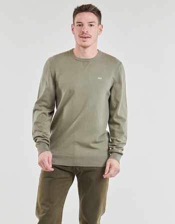 Textiel Heren Sweaters / Sweatshirts Levi's LIGHTWEIGHT HM SWEATER Groen