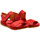 Schoenen Dames Sandalen / Open schoenen El Naturalista 256501181005 Grijs