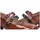 Schoenen Dames Sneakers Hispanitas 71421 Brown
