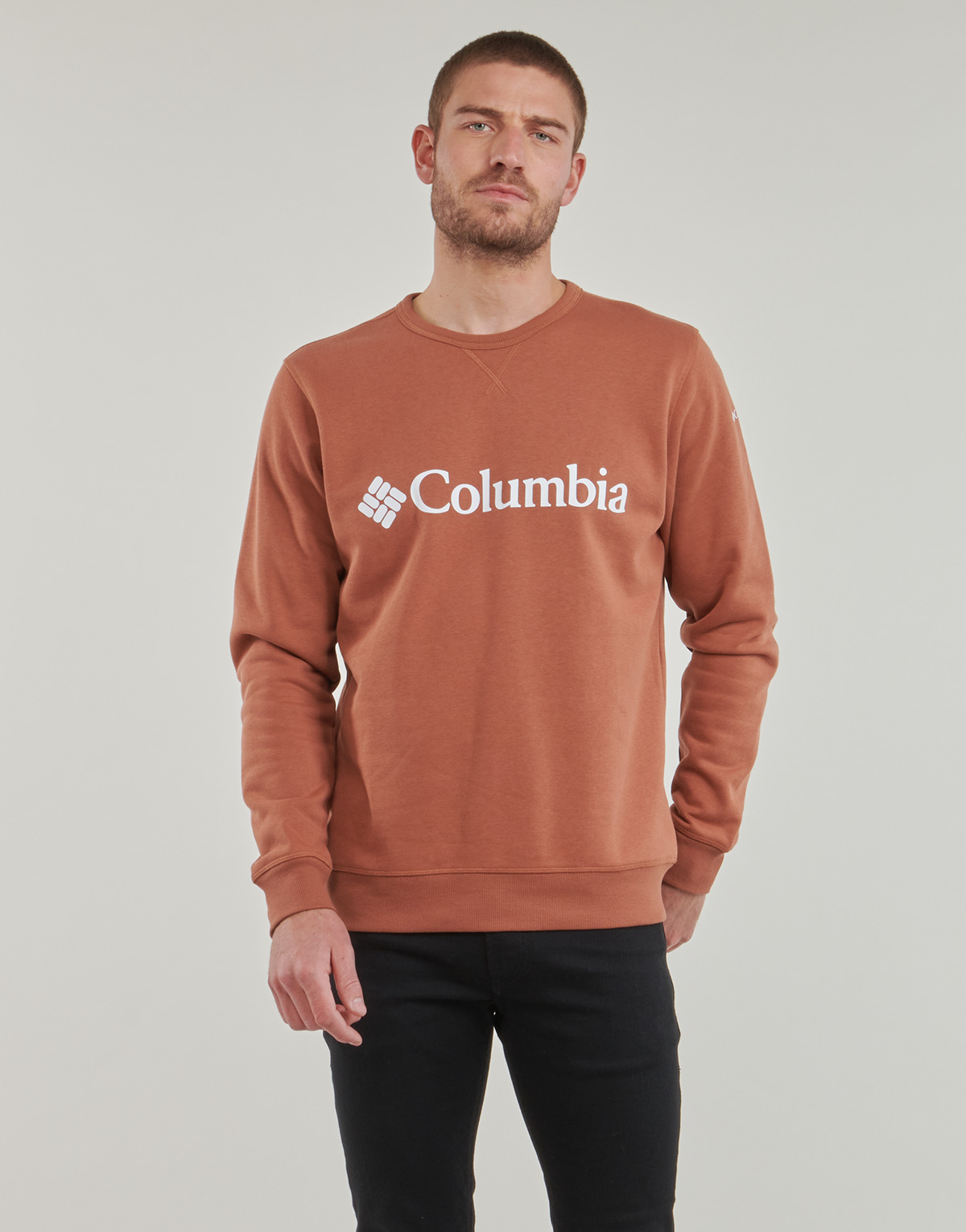 Textiel Heren Sweaters / Sweatshirts Columbia CSC Basic Logo II Hoodie Brown