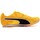 Schoenen Running / trail Puma Evospeed Star 8 Orange
