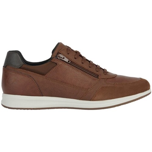Schoenen Heren Sneakers Geox U35H5A 0PTEK C6001 Brown