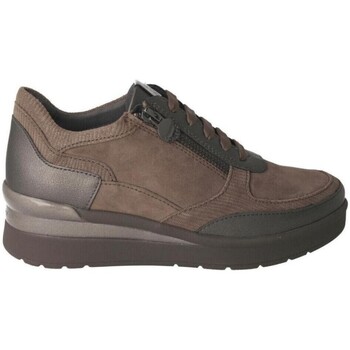 Schoenen Dames Sneakers Stonefly 220679 11F Brown