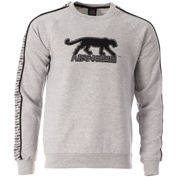Textiel Heren Sweaters / Sweatshirts Airness  Grijs