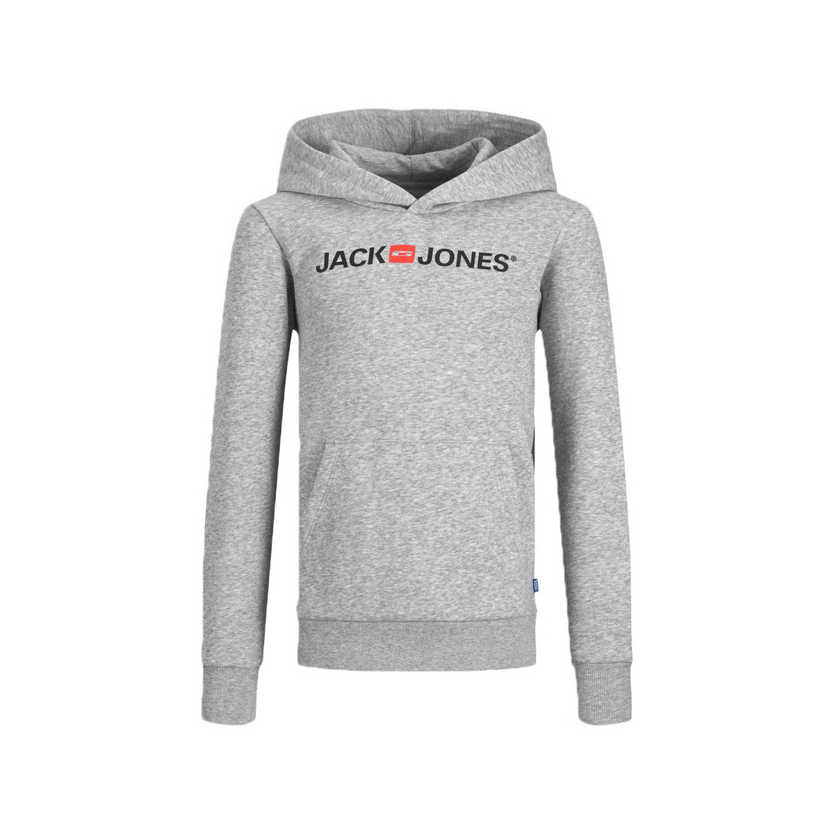 Textiel Jongens Sweaters / Sweatshirts Jack & Jones  Grijs