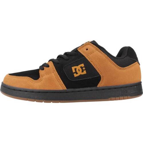 Schoenen Heren Sneakers DC Shoes MANTECA 4 M SHOE Brown