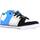 Schoenen Jongens Lage sneakers DC Shoes PURE MID Blauw