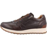 Schoenen Heren Sneakers Kangaroos K470 Brown