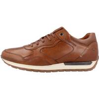 Schoenen Heren Sneakers Kangaroos K476 Brown