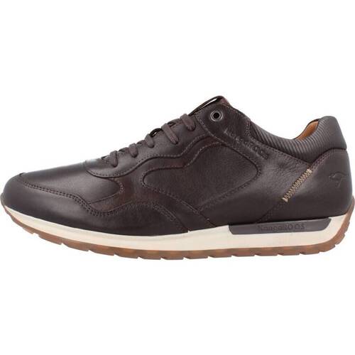 Schoenen Heren Sneakers Kangaroos K476 Brown