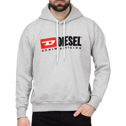 Textiel Heren Sweaters / Sweatshirts Diesel  Grijs