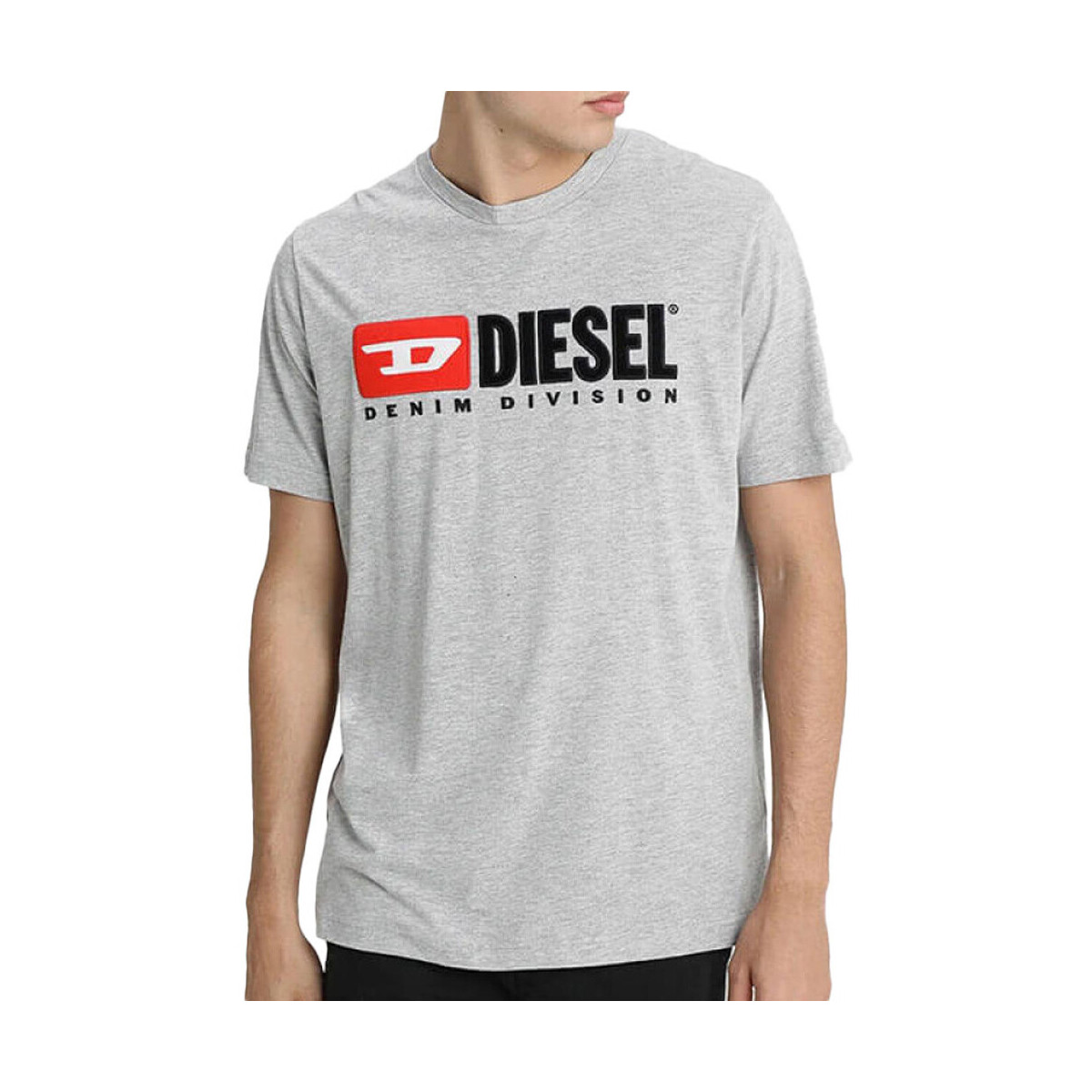 Textiel Heren T-shirts & Polo’s Diesel  Grijs