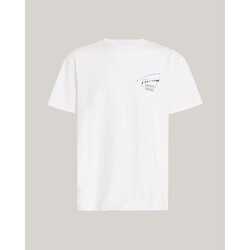 Textiel Heren T-shirts korte mouwen Tommy Hilfiger DM0DM18283 Wit