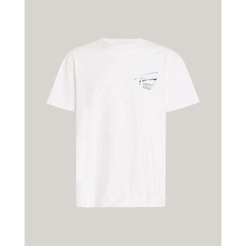 Textiel Heren T-shirts korte mouwen Tommy Hilfiger DM0DM18283 Wit