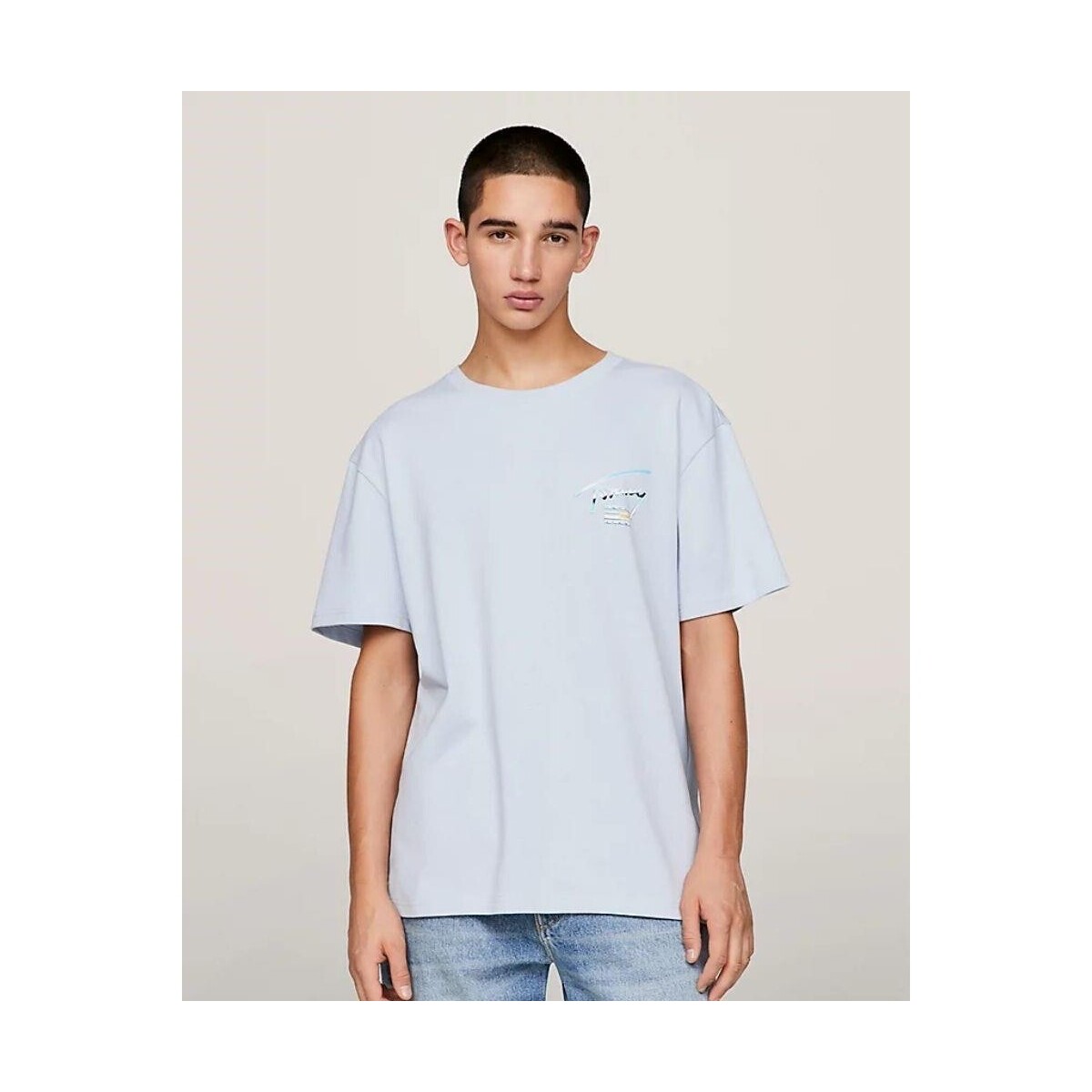 Textiel Heren T-shirts korte mouwen Tommy Hilfiger DM0DM18283C1O Blauw