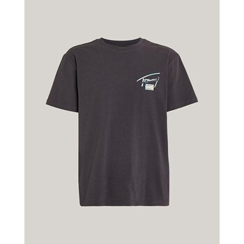 Textiel Heren T-shirts korte mouwen Tommy Hilfiger DM0DM18283PUB Blauw