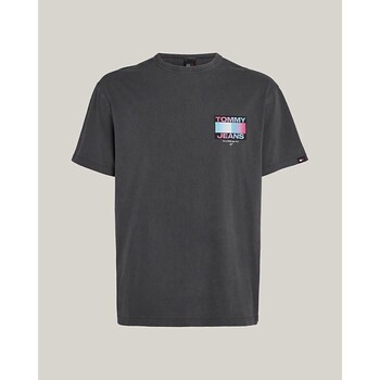 Textiel Heren T-shirts korte mouwen Tommy Hilfiger DM0DM18300PUB Blauw