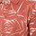 Textiel Heren T-shirts & Polo’s Kaporal  Orange