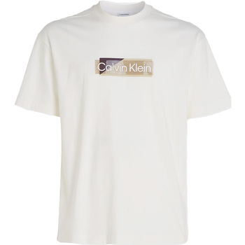 Textiel Heren T-shirts & Polo’s Calvin Klein Jeans Layered Gel Logo T-S Wit