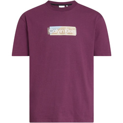 Textiel Heren T-shirts & Polo’s Calvin Klein Jeans Layered Gel Logo T-Shirt Violet