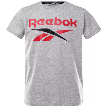 Textiel Jongens T-shirts korte mouwen Reebok Sport  Grijs
