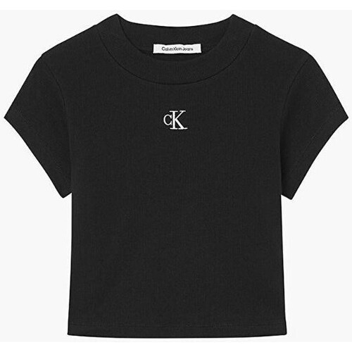 Textiel Dames T-shirts korte mouwen Calvin Klein Jeans J20J218337BEH Zwart