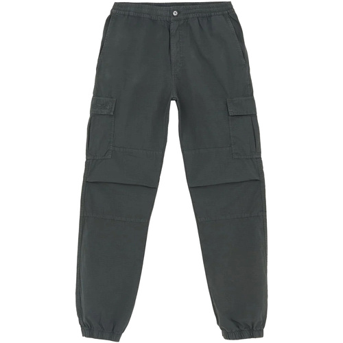 Textiel Heren Broeken / Pantalons Iuter Cargo Jogger Grijs