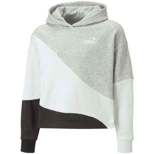 Textiel Meisjes Sweaters / Sweatshirts Puma  Grijs