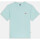 Textiel Heren T-shirts & Polo’s Dickies Ss mapleton tee Blauw