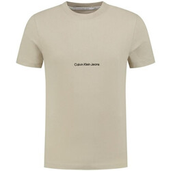 Textiel Heren T-shirts korte mouwen Calvin Klein Jeans  Brown