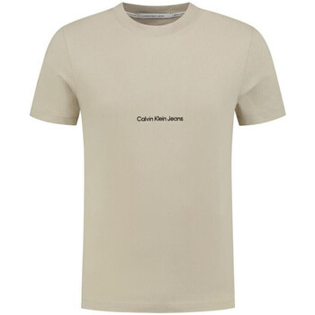Textiel Heren T-shirts korte mouwen Calvin Klein Jeans  Brown