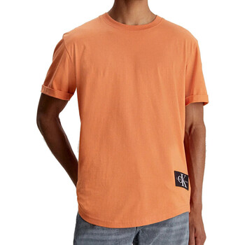 Textiel Heren T-shirts korte mouwen Calvin Klein Jeans  Orange