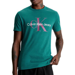 Textiel Heren T-shirts & Polo’s Calvin Klein Jeans  Groen