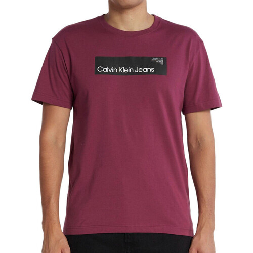 Textiel Heren T-shirts korte mouwen Calvin Klein Jeans  Violet