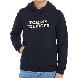 Textiel Jongens Sweaters / Sweatshirts Tommy Hilfiger  Zwart