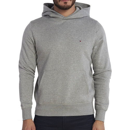 Textiel Heren Sweaters / Sweatshirts Tommy Hilfiger  Grijs