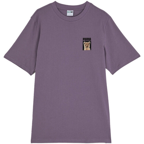 Textiel Heren T-shirts & Polo’s Puma  Violet