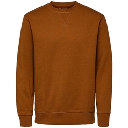 Textiel Heren Sweaters / Sweatshirts Selected Noos Sweatshirt Jason 340 - Monks Robe Brown