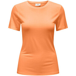 Textiel Dames T-shirts & Polo’s JDY  Orange