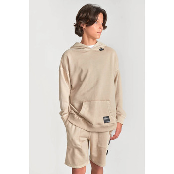 Textiel Jongens Sweaters / Sweatshirts Le Temps des Cerises Sweater met capuchon ANIBO Brown