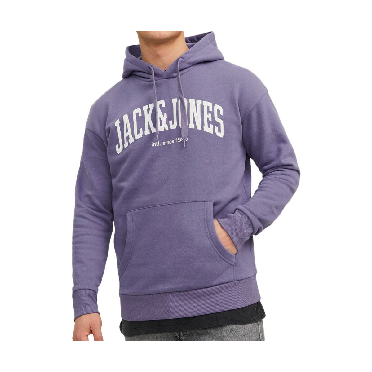 Textiel Heren Sweaters / Sweatshirts Jack & Jones  Violet